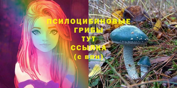 хмурый Белокуриха