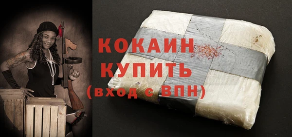 хмурый Белокуриха