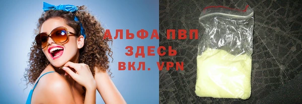 индика Беломорск