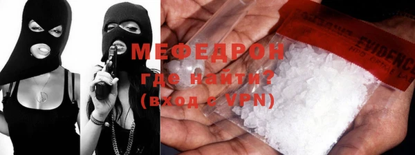 индика Беломорск