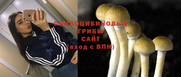 индика Беломорск