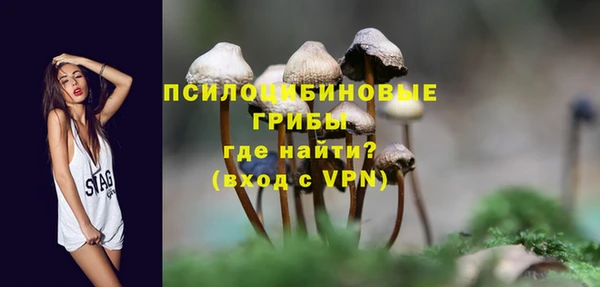 индика Беломорск