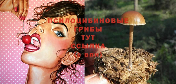 индика Беломорск