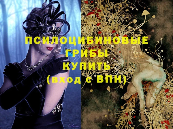 индика Беломорск