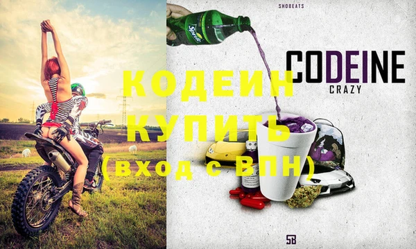 хмурый Белокуриха