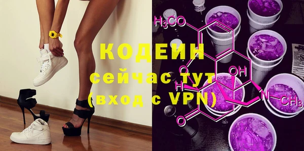 хмурый Белокуриха