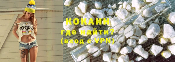 индика Беломорск