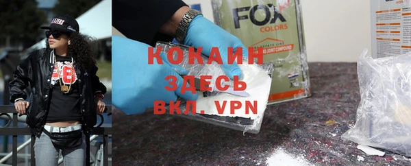 индика Беломорск