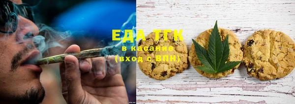 индика Беломорск