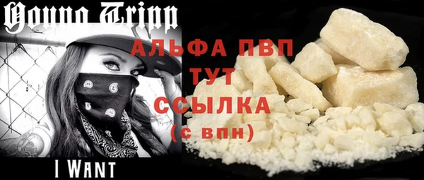 хмурый Белокуриха