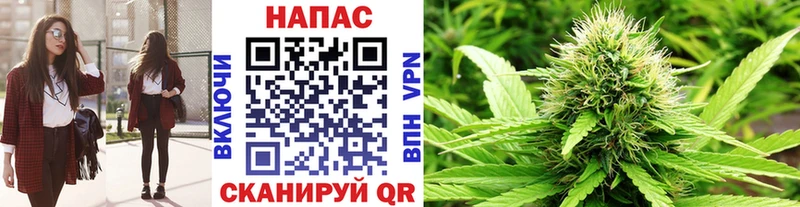 omg tor  Славгород  Марихуана план 